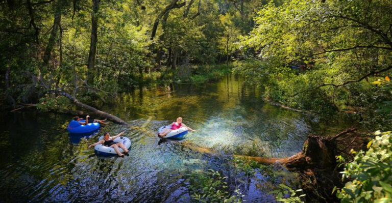 10 Crystal-Clear Tubing Spots in Florida That Are Worth the Drive