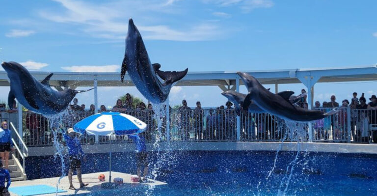 10 Florida Aquariums That Feel Bigger Than a Day at the Beach