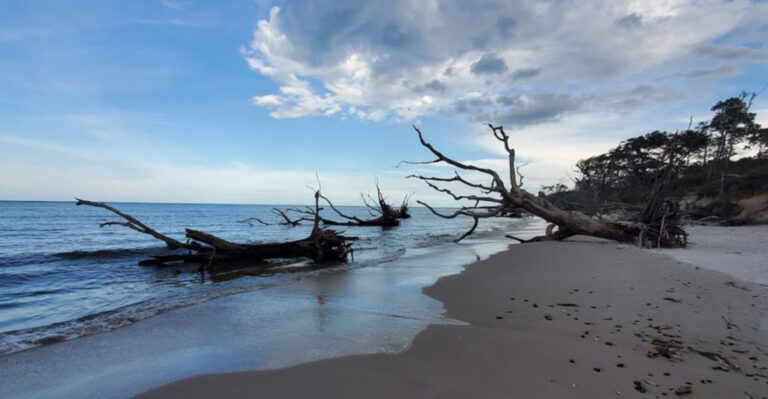 10 Low-Key Florida Spots That Locals Love A Little Too Much