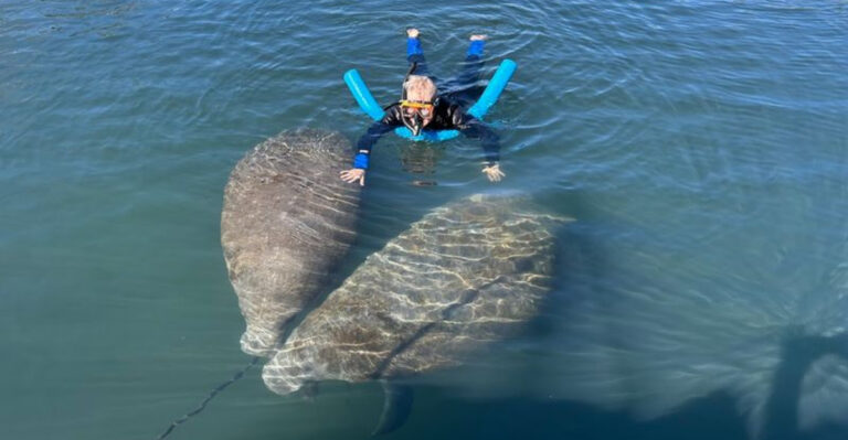 10 Unique Florida Experiences You Literally Can’t Have Anywhere Else