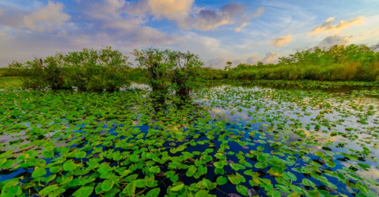 12 Incredible Florida National Parks And Sites Worth Exploring This Year