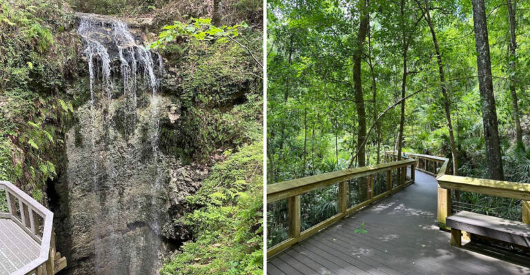 12 Quiet Florida State Parks Perfect For Long Walks And Total Peace