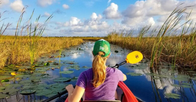 13 Scenic Florida Rivers Made For Kayaking And Wildlife Watching