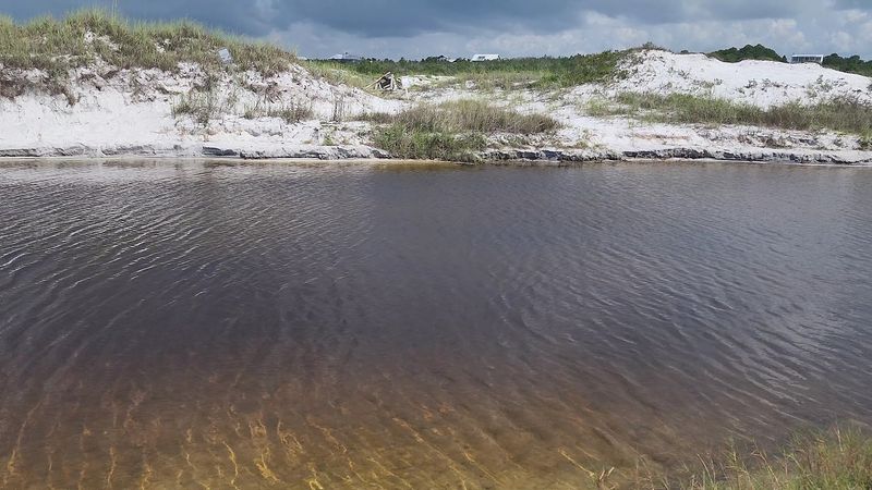Topsail Hill Preserve State Park