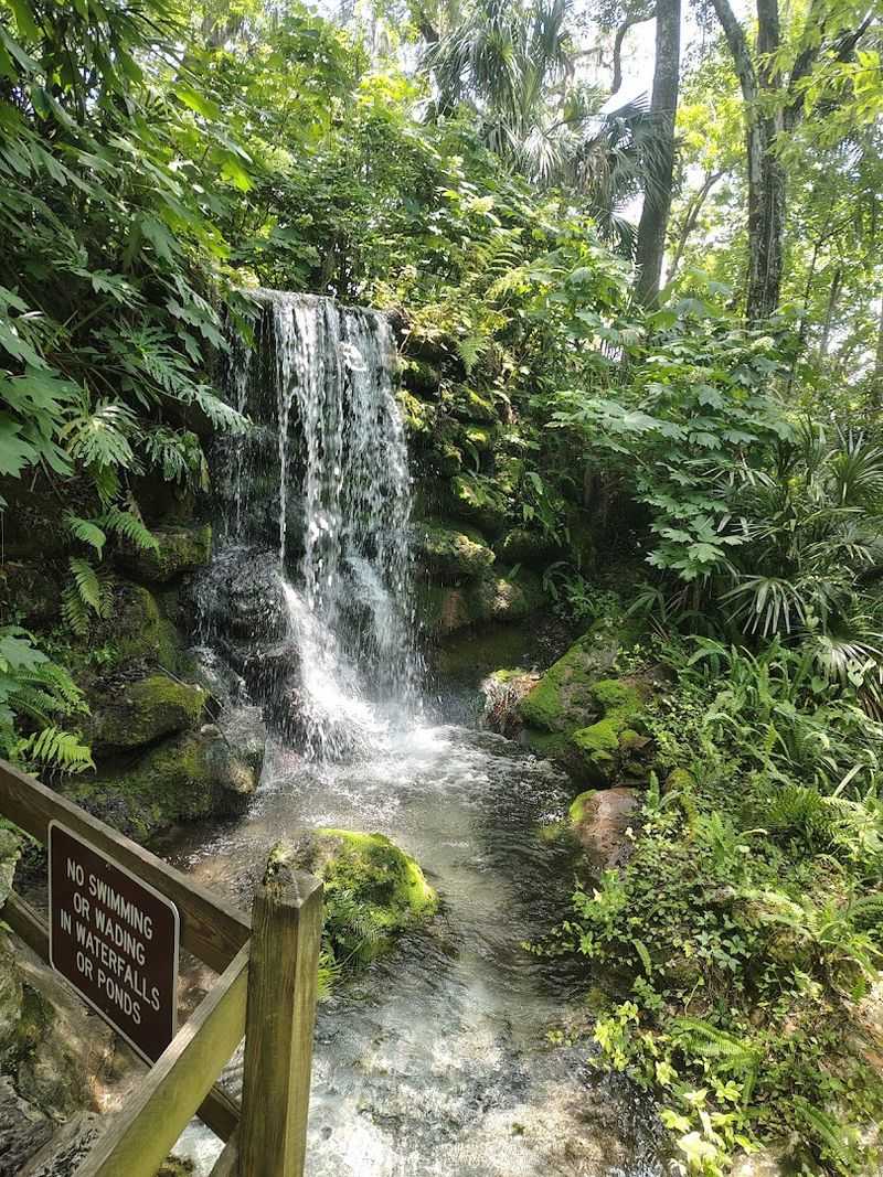 The waterfall garden adds a surprise most Florida parks do not have