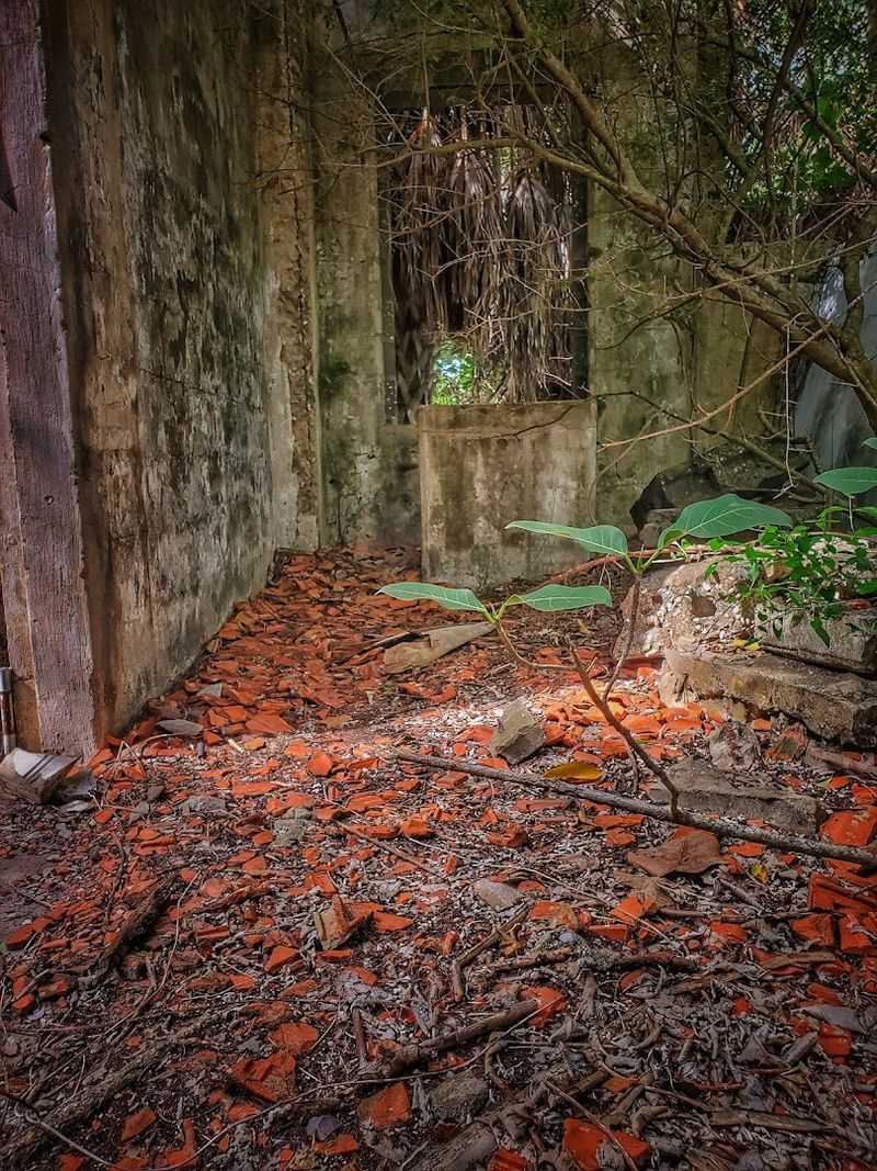 History Lingers In The Sand And Trees