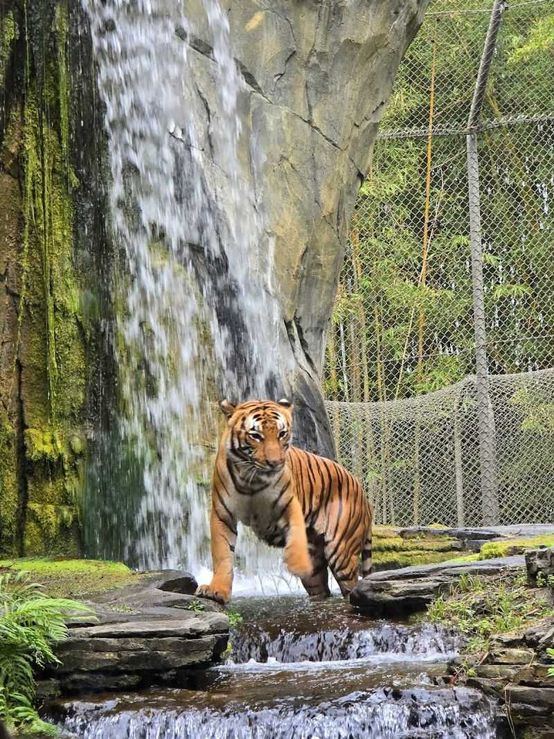 Jacksonville Zoo and Gardens