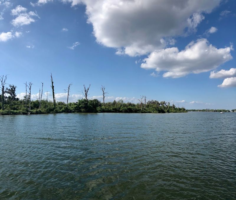 Lake June-in-Winter — Lake Placid, Florida