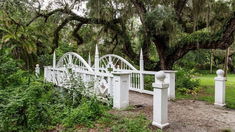 Nature Trails Through Time