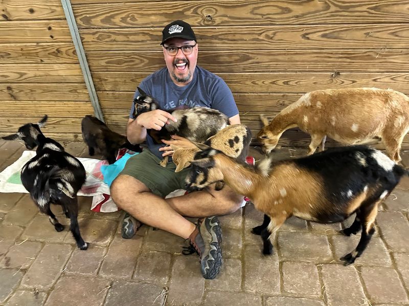 Goat Cuddle Time and Petting Sessions