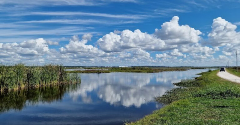 7 Things People Wish They Knew Before Going on the Lake Apopka Wildlife Drive
