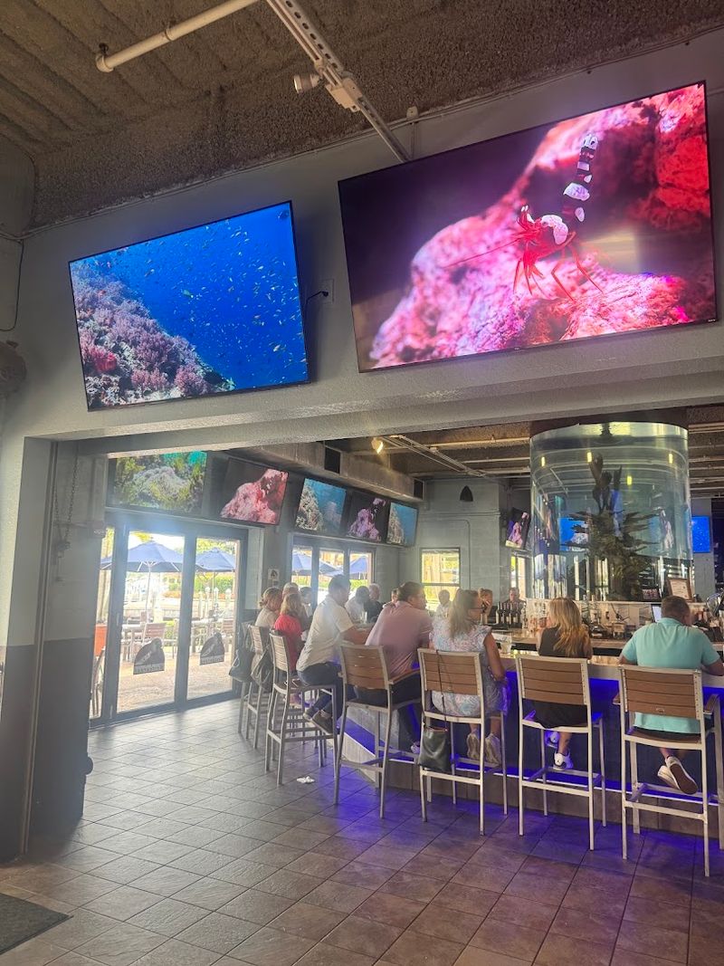 The Giant Aquarium That Steals the Show