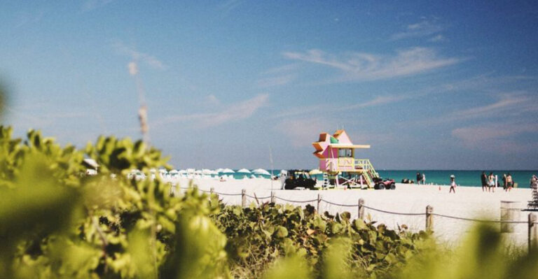 8 Things To Know Before Visiting Florida In July