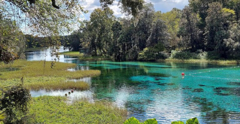 9 Cleanest Lakes In Florida For Crystal-Clear Escapes