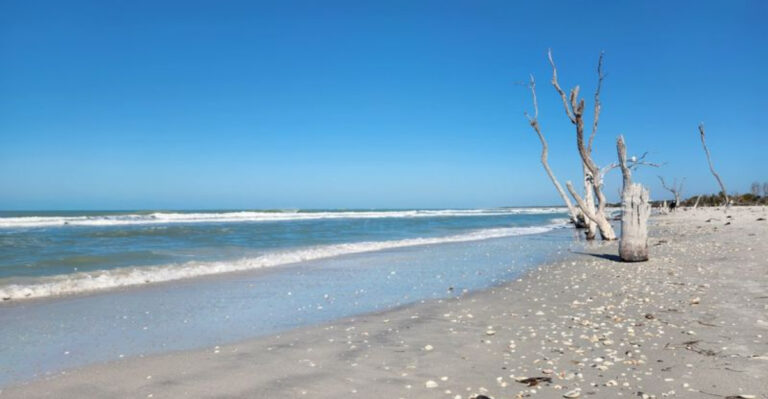 9 Florida Beach Escapes Perfect For Cooling Off After World Cup Crowds