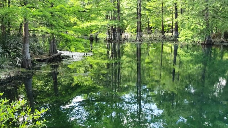Seasonal Water Conditions And Planning Your Visit