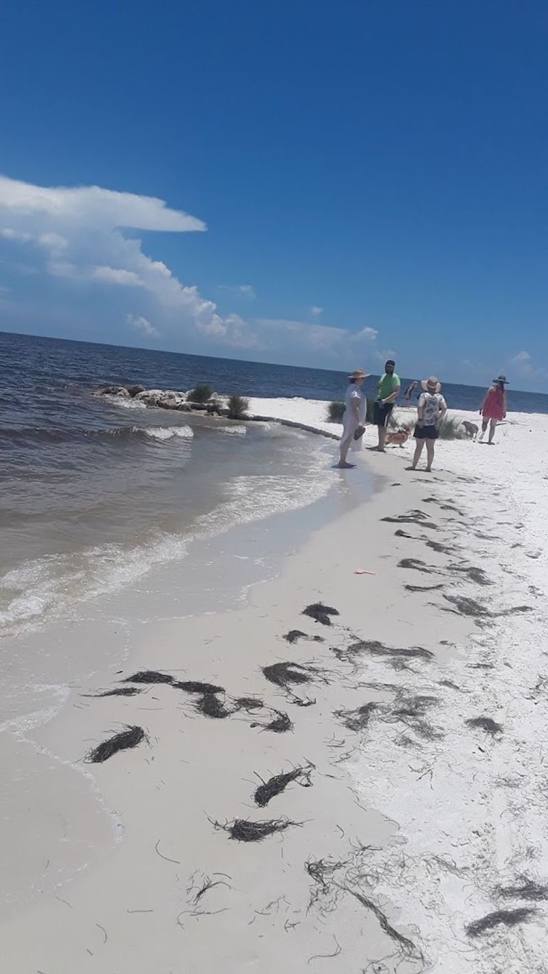 The Water, Tides, and Sandbars Are the Real Show