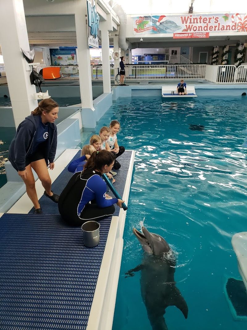 Knowledgeable Staff and Volunteers Enhance Every Visit