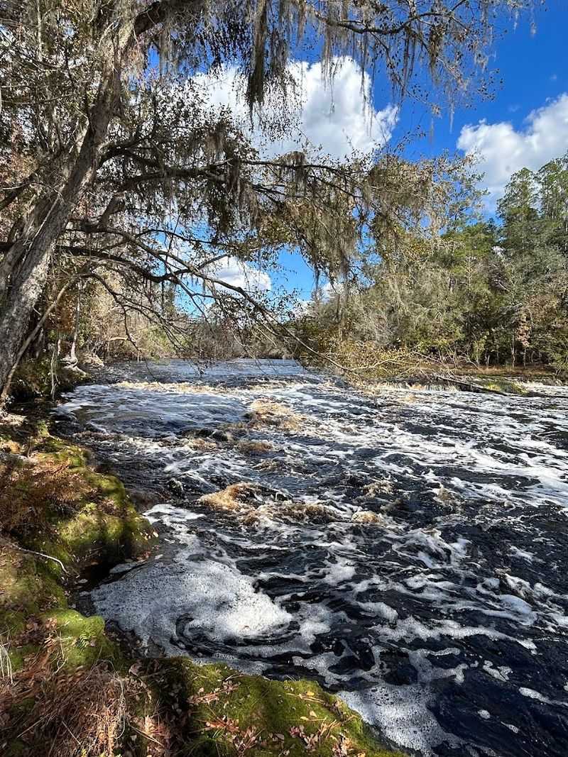 Big Shoals State Park — White Springs