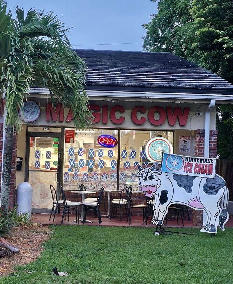 The Magic Cow — Davie