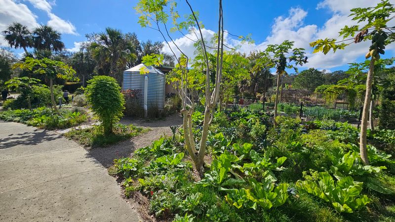 Butterfly Garden Brings Nature Up Close
