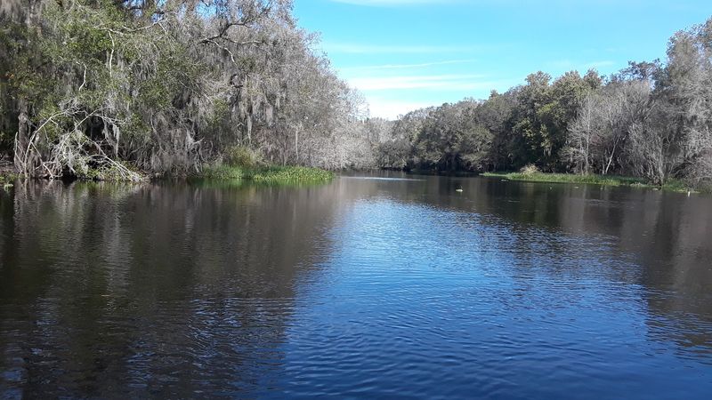 Sweetwater Creek Preserve