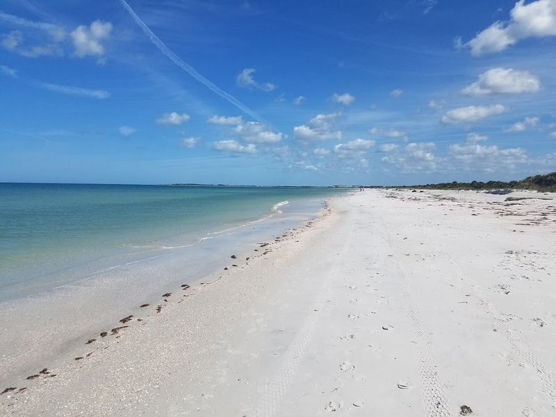 Caladesi Island State Park — Dunedin