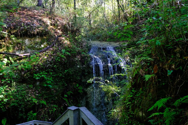 Camping here is small-scale, quiet, and easy to like