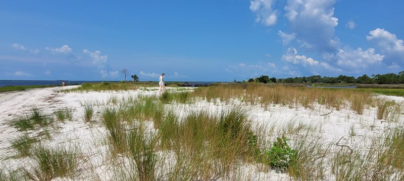 Nature Is Everywhere, and That Is the Fun of It