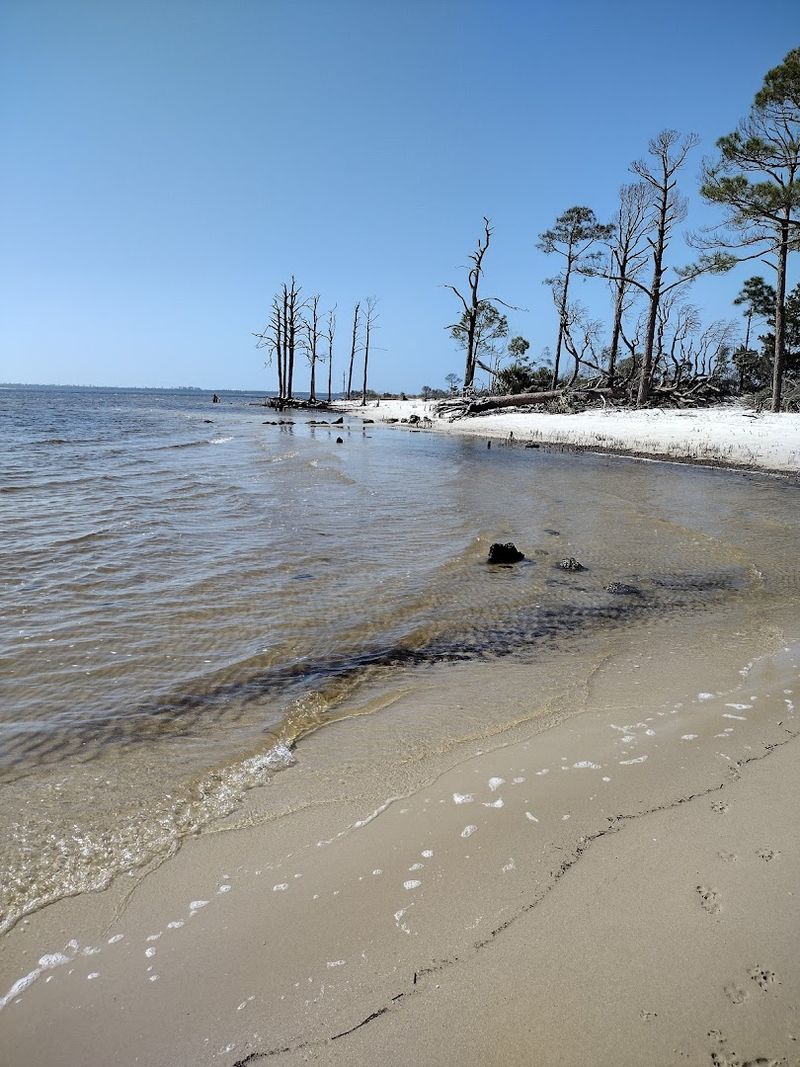 Why This Little Panacea Beach Keeps Pulling People Back