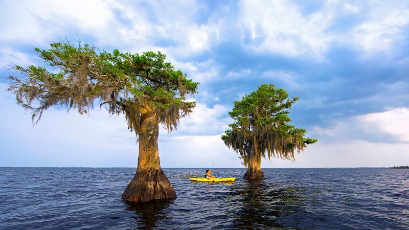 Blue Cypress Lake — Indian River County, Florida