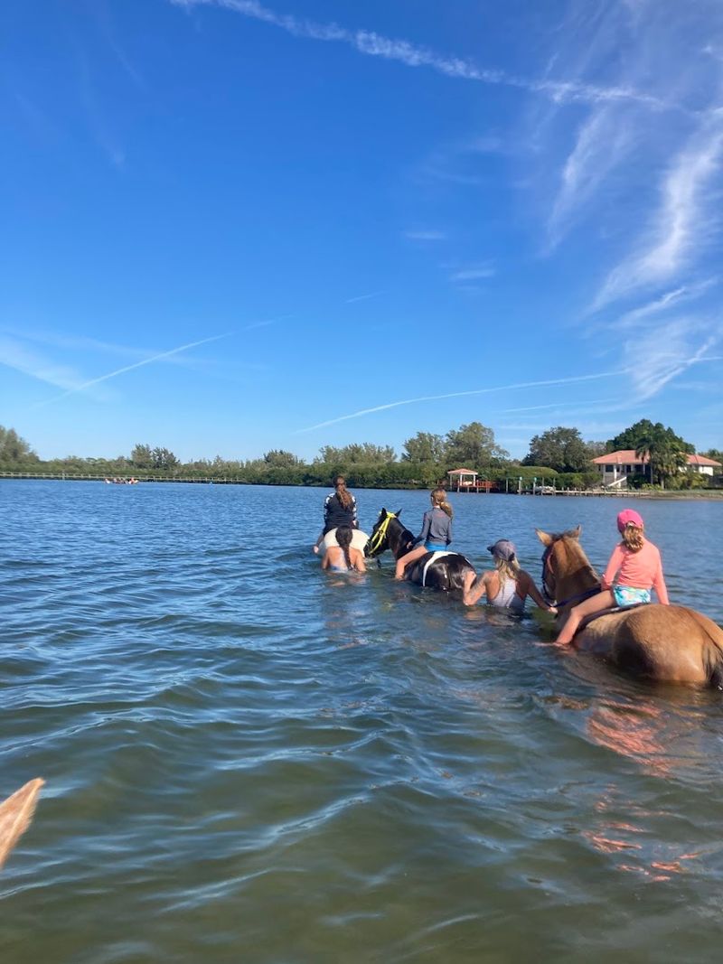 Horse Surfing and Skiing Adventures