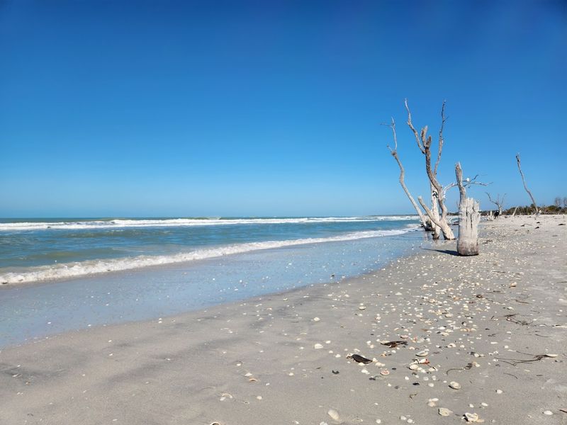 Primitive Camping Brings You Closer to Nature