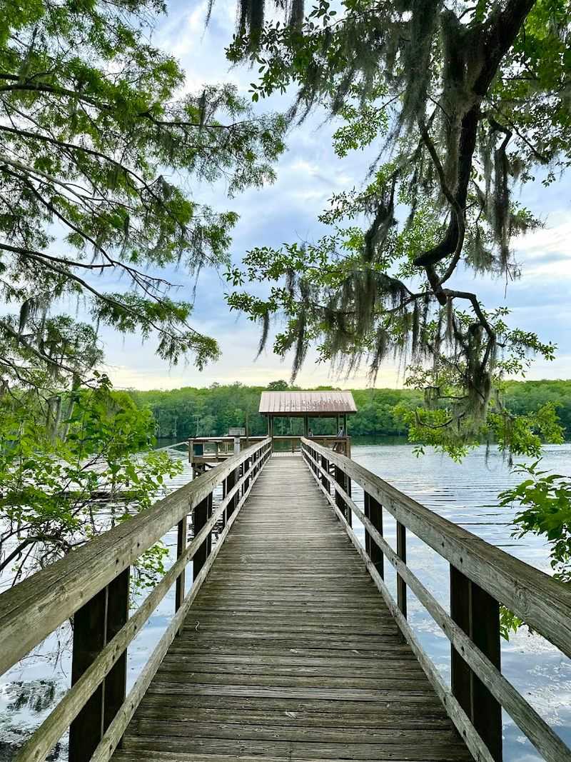 The Suwannee River Boardwalk Overlook Experience