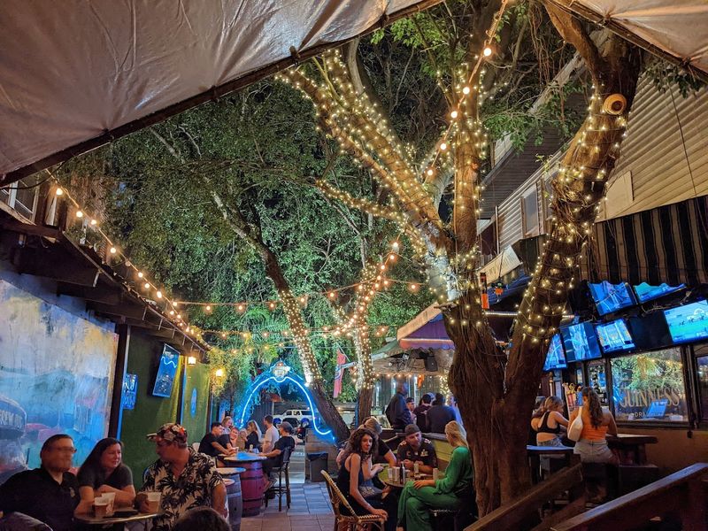 The Dubliner Irish Pub (Tampa)