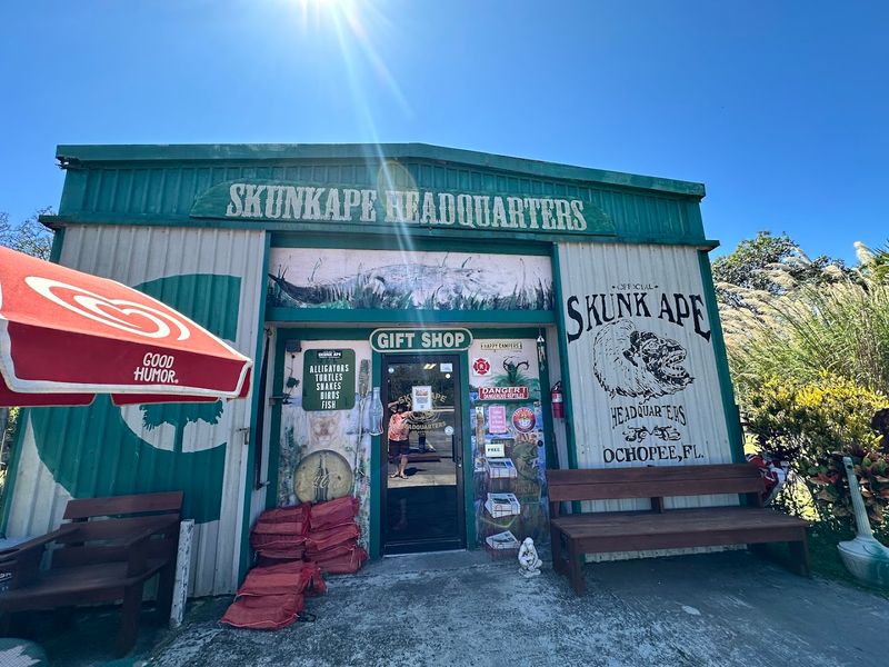Skunk Ape Research Headquarters — Ochopee, Florida