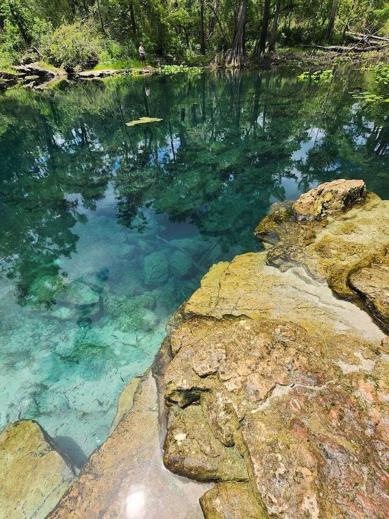 Crystal-Clear Springs That Reveal Another World