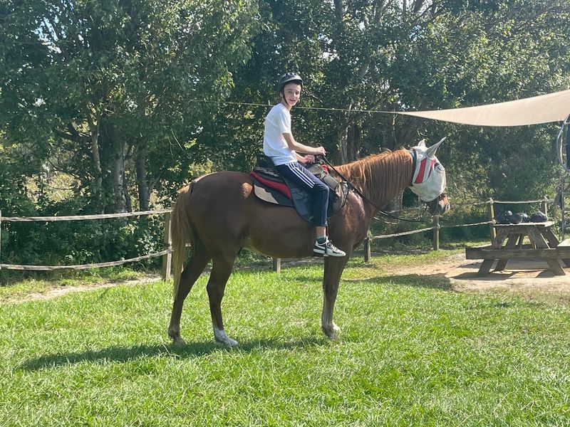 Horseback Riding Adventures