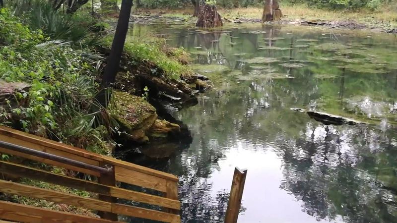 Wildlife Encounters In A Protected Habitat