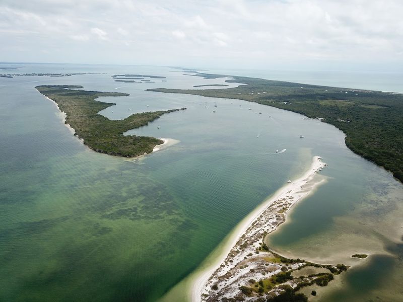 Mangrove Trails Reveal Hidden Ecosystems