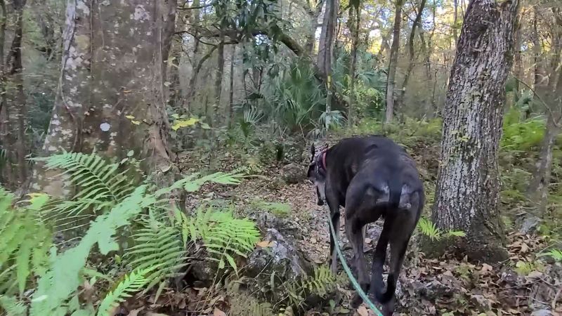 Trail Difficulty and What to Expect