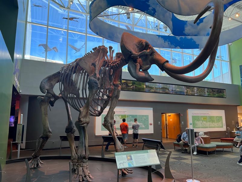 Florida Museum of Natural History — Gainesville, Florida