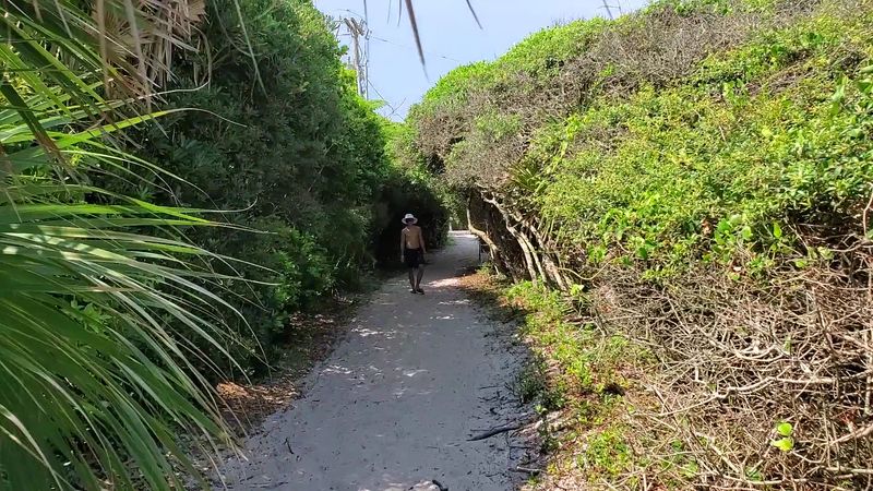Grayton Beach State Park