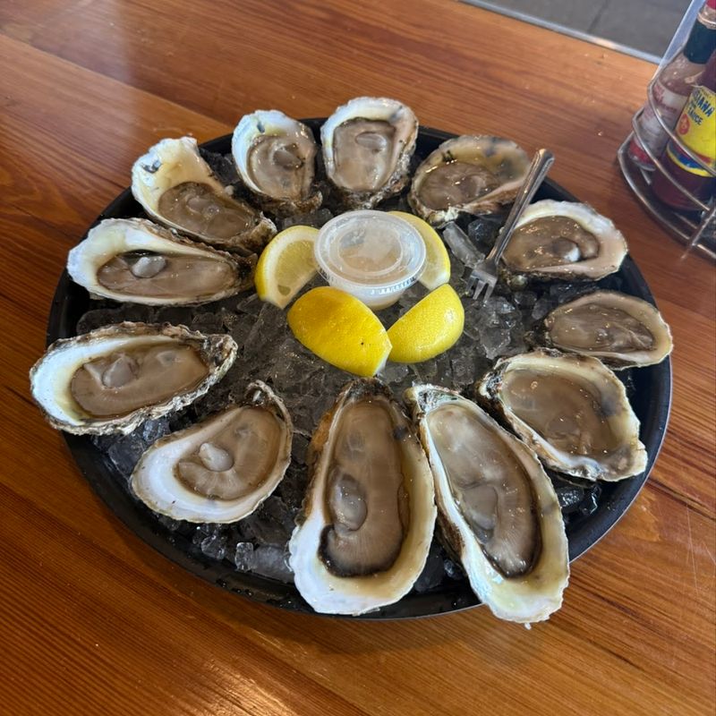 Premium Oysters That Define Fresh