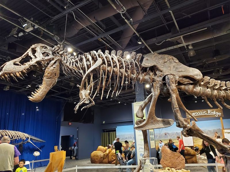 Orlando Science Center — Orlando, Florida
