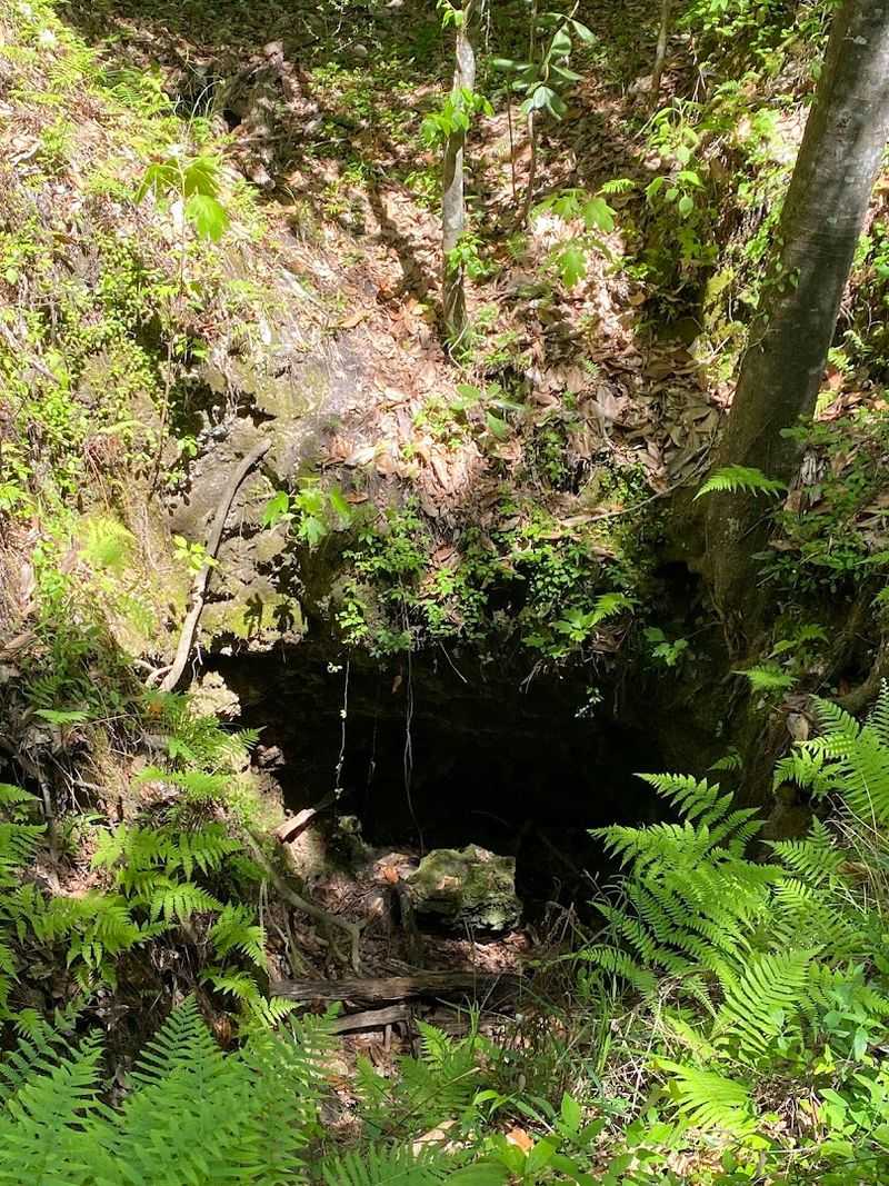 Why the sinkholes here are just as fascinating as the falls