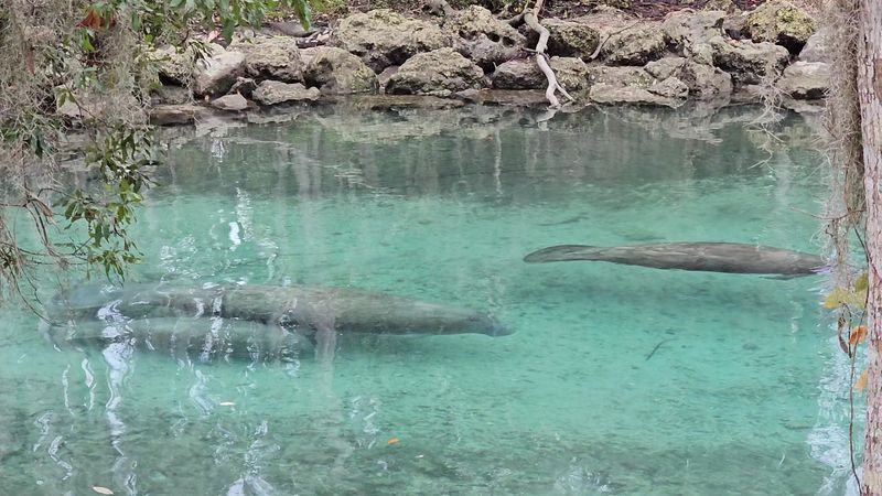 Crystal River National Wildlife Refuge: Protected Waters