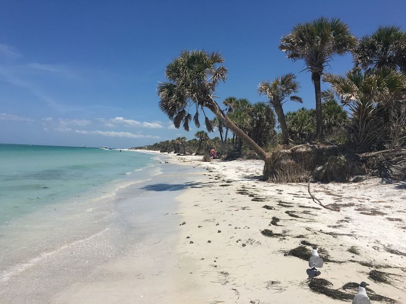 Why Egmont Key Feels So Different From The Rest Of Florida