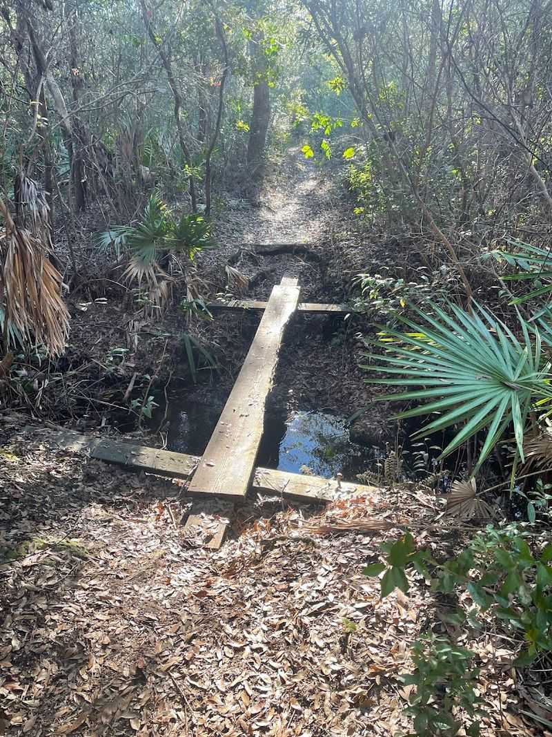 The Trails And Boardwalk Situation