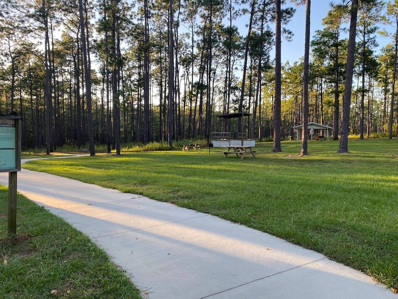 The day-use area makes this more than just a quick overlook